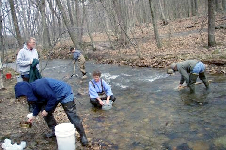 Creek Sampling